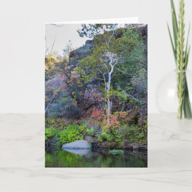 NorCal Natur-Gruß-Karte: Obere Park-Karte 2 Karte (Vorderseite)