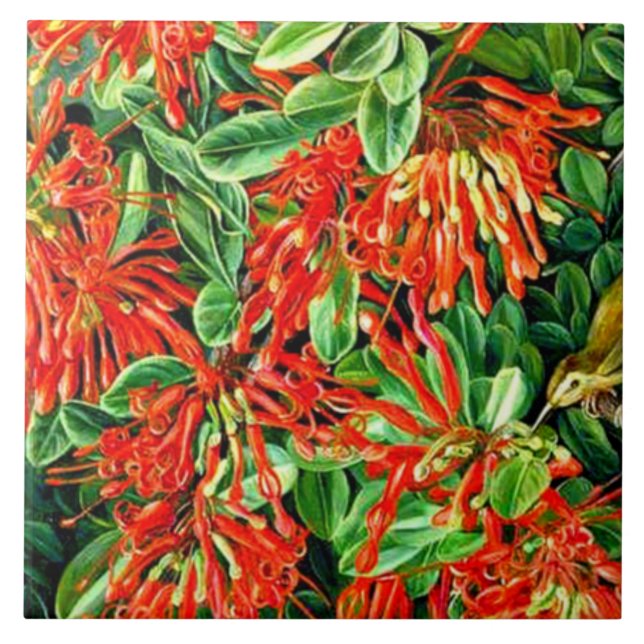 Nord - Bush und Emu Wren des Chilen verbrennen Fliese (Vorderseite)