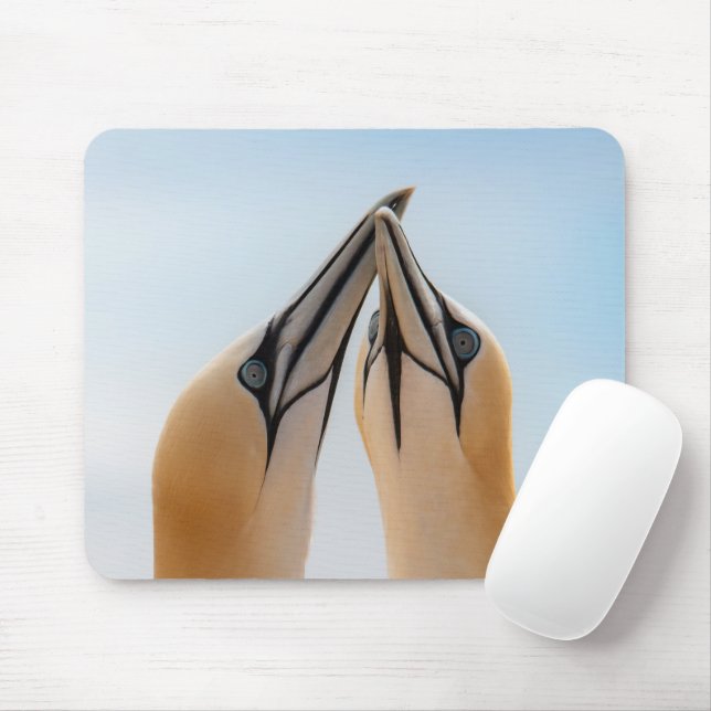 Nord Gannets Heligoland Deutschland Morus Gel Mous Mousepad (Mit Mouse)