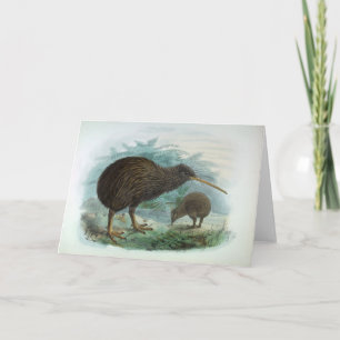 Nord Island Brown Kiwi Vintag Bird Illustration Karte