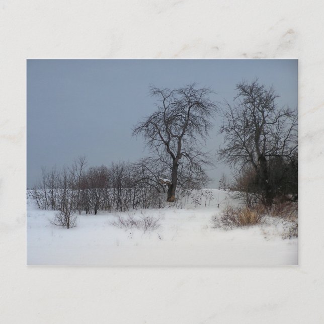 Nord-Maine 17 Postkarte (Vorderseite)