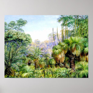 Nord - Waldlandschaft in Westaustralien Poster