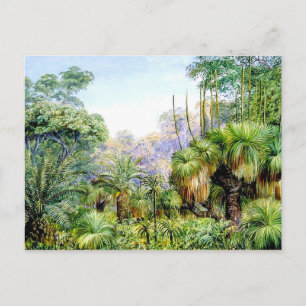 Nord - Waldlandschaft in Westaustralien Postkarte