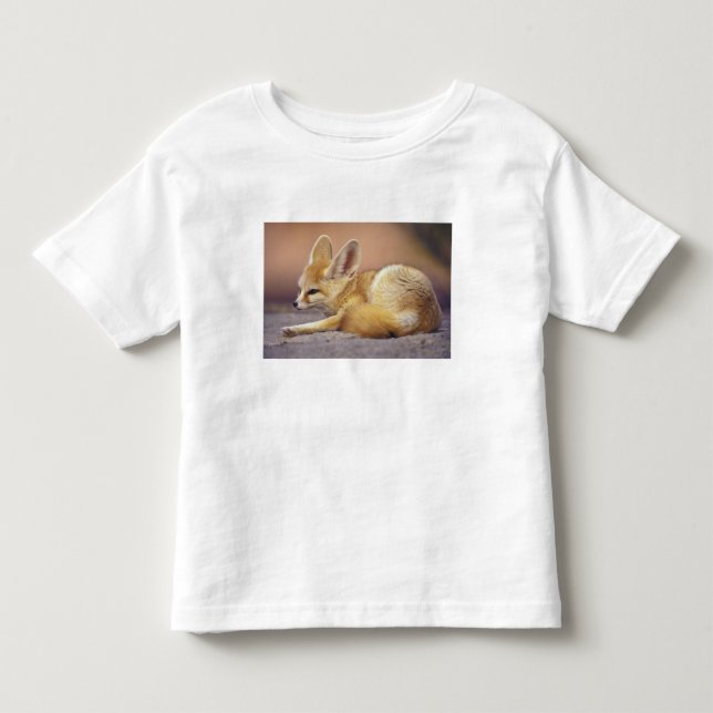 Nordafrika. Fennek Fennecus zerda) Kleinkind T-shirt (Vorderseite)