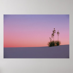 Nordamerika, Amerika, New Mexico, Weiß Poster