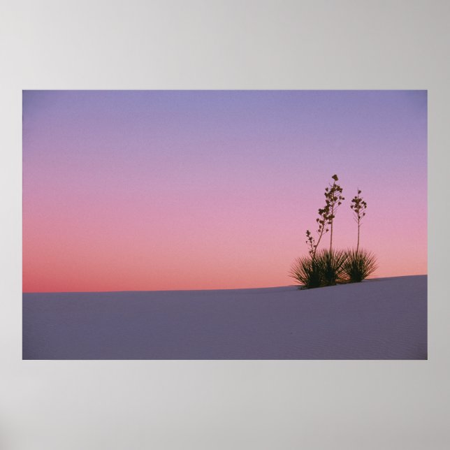 Nordamerika, Amerika, New Mexiko, Weiß Poster (Vorne)