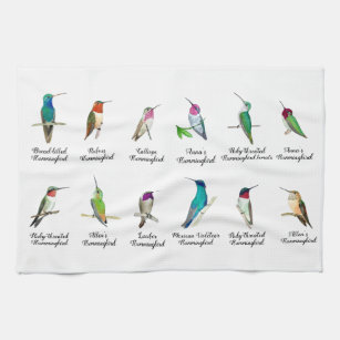 Nordamerika Hummingbirds Küchentuch