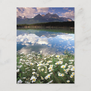 Nordamerika, Kanada, Alberta, Banff National 2 Postkarte