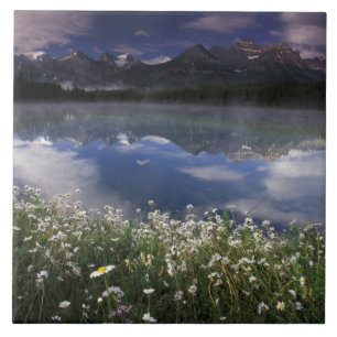 Nordamerika, Kanada, Alberta, Banff National Fliese