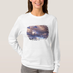 Nordamerika, Kanada, Alberta, Jasper 5 T-Shirt