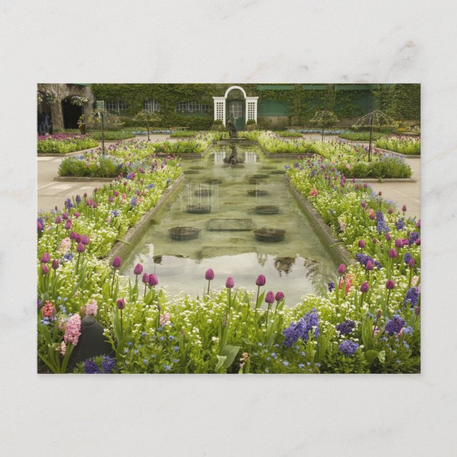 Nordamerika, Kanada, British Columbia, 4 Postkarte (Vorderseite)