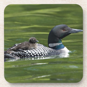 Nordamerika, Kanada, British Columbia, Lac Le Getränkeuntersetzer