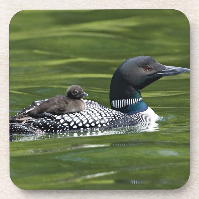 Nordamerika, Kanada, British Columbia, Lac Le Getränkeuntersetzer (Vorderseite)