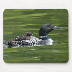 Nordamerika, Kanada, British Columbia, Lac Le Mousepad