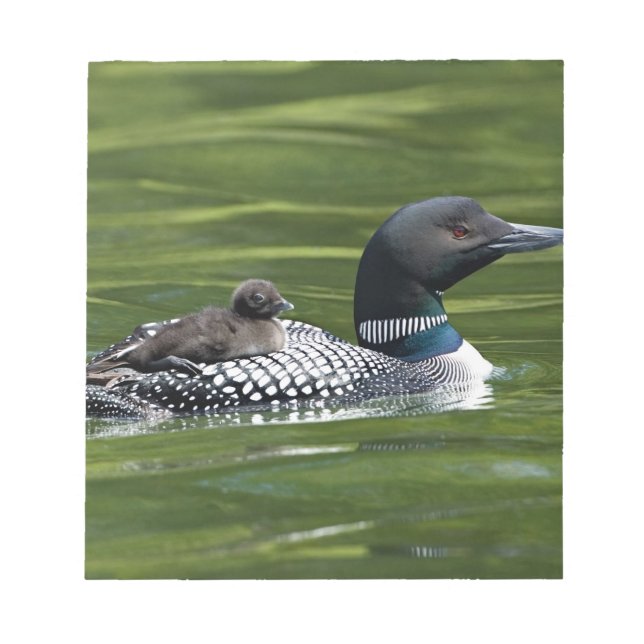 Nordamerika, Kanada, British Columbia, Lac Le Notizblock (Vorderseite)