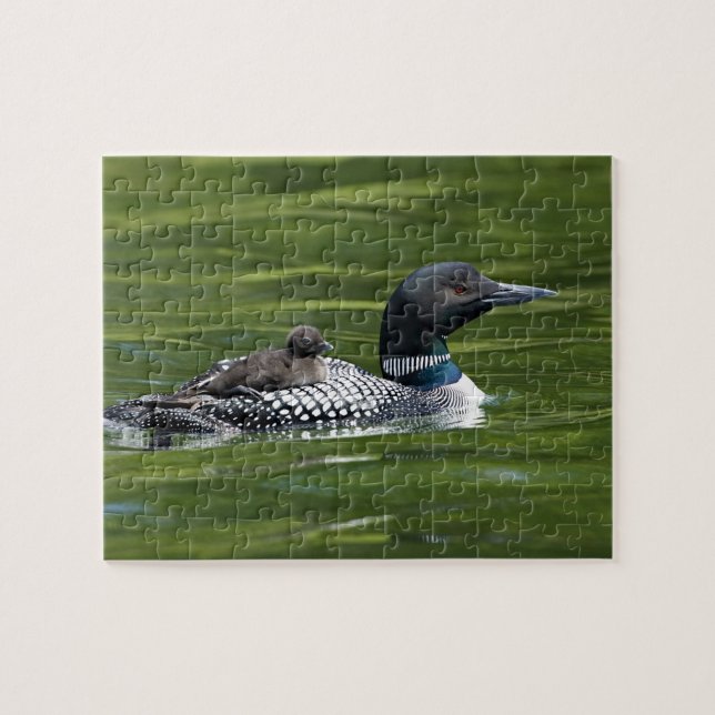 Nordamerika, Kanada, British Columbia, Lac Le Puzzle (Horizontal)