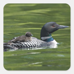 Nordamerika, Kanada, British Columbia, Lac Le Quadratischer Aufkleber