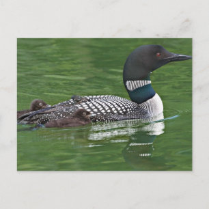 Nordamerika, Kanada, British Columbia Postkarte