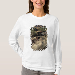 Nordamerika, Kanada, Kanadische Rockies, Banff T-Shirt