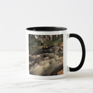 Nordamerika, Kanada, Kanadische Rocky Mountains, B Tasse