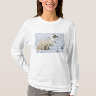 Nordamerika, Kanada, Manitoba, Churchill. 4 T-Shirt