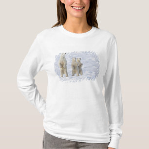 Nordamerika, Kanada, Manitoba, Churchill. 5 T-Shirt