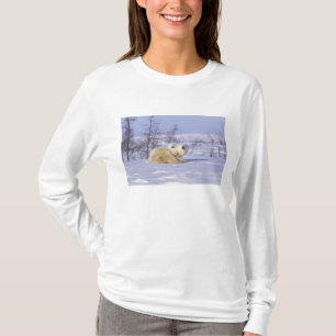 Nordamerika, Kanada, Manitoba, Churchill. 9 T-Shirt