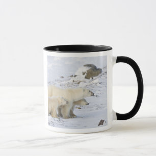 Nordamerika, Kanada, Manitoba, Churchill Tasse