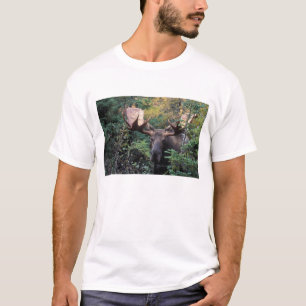 Nordamerika, Kanada, Nova Scotia, Cape Breton T-Shirt