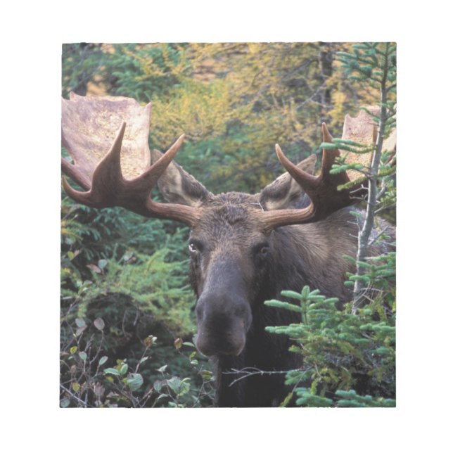 Nordamerika, Kanada, Nova Scotia, Kap Breton Notizblock (Vorderseite)