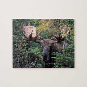 Nordamerika, Kanada, Nova Scotia, Kap Breton Puzzle