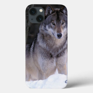Nordamerika, Kanada, Ostkanada, grauer Wolf Case-Mate iPhone Hülle