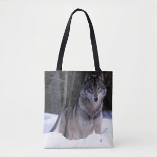 Nordamerika, Kanada, Ostkanada, Grauwolf
