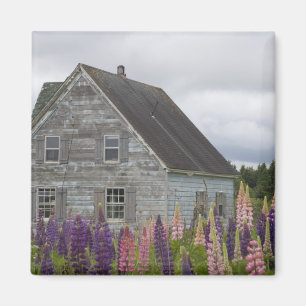 Nordamerika, Kanada, Prince Edward Island, Magnet