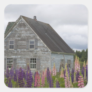 Nordamerika, Kanada, Prince Edward Island, Quadratischer Aufkleber