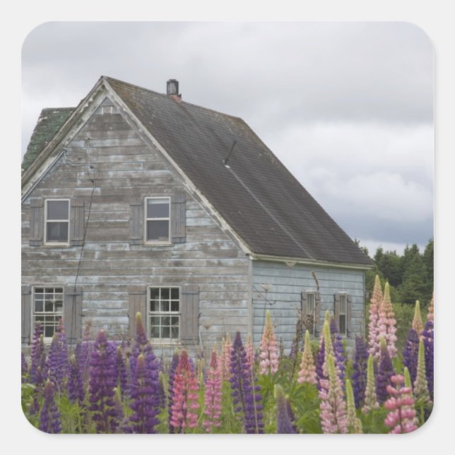 Nordamerika, Kanada, Prince Edward Island, Quadratischer Aufkleber (Vorderseite)