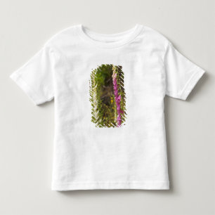 Nordamerika, Kanada, Queen Charlotte Islands, 2 Kleinkind T-shirt
