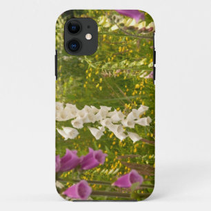 Nordamerika, Kanada, Queen Charlotte Islands, 5 Case-Mate iPhone Hülle