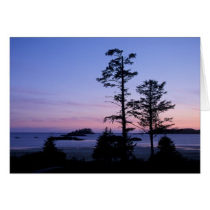 Nordamerika, Kanada, Vancouver Island, Bäume