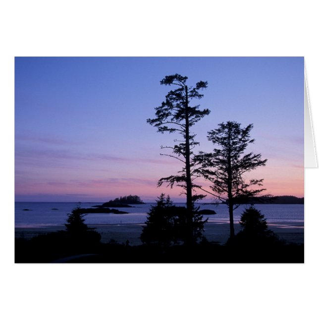 Nordamerika, Kanada, Vancouver Island, Bäume (Vorderseite (Horizontal))