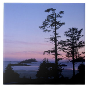 Nordamerika, Kanada, Vancouver Island, Bäume Fliese