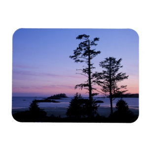 Nordamerika, Kanada, Vancouver Island, Bäume Magnet