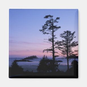 Nordamerika, Kanada, Vancouver Island, Bäume Magnet