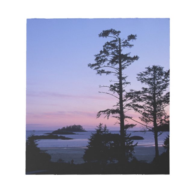Nordamerika, Kanada, Vancouver Island, Bäume Notizblock (Vorderseite)