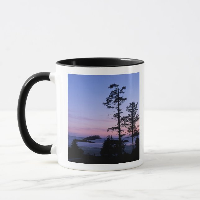 Nordamerika, Kanada, Vancouver Island, Bäume Tasse (Links)