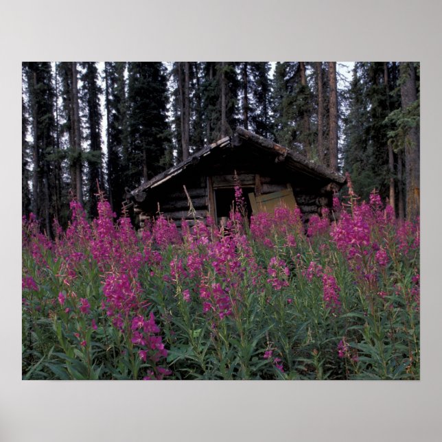 Nordamerika, Kanada, Yukon. Abandonierte Trapper Poster (Vorne)
