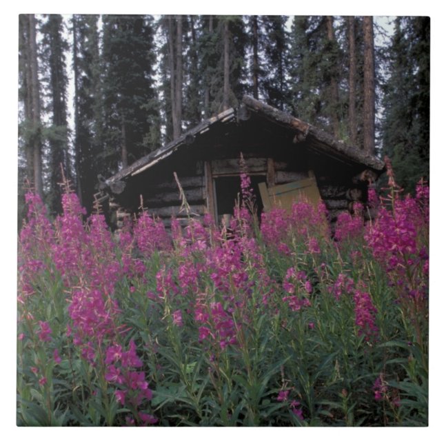 Nordamerika, Kanada, Yukon. Ausgesetzte Anhänger Fliese (Vorderseite)