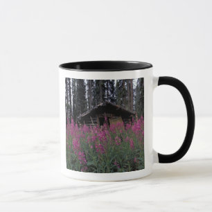 Nordamerika, Kanada, Yukon. Ausgesetzte Anhänger Tasse