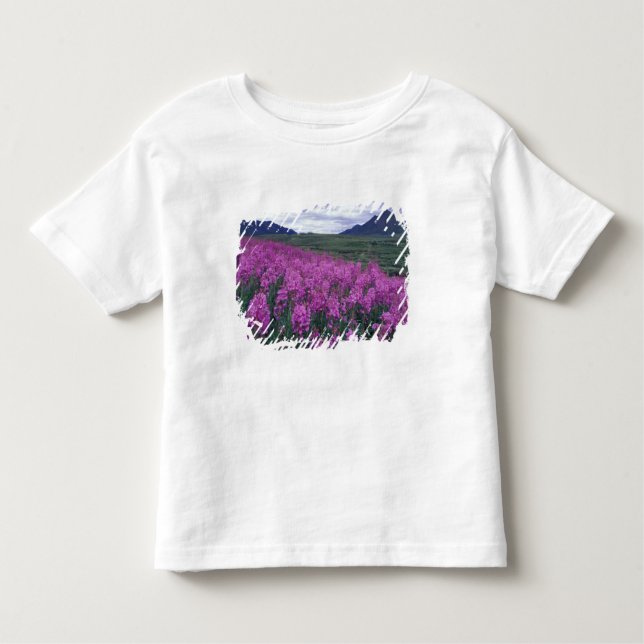 Nordamerika, Kanada, Yukon. Blüten Kleinkind T-shirt (Vorderseite)