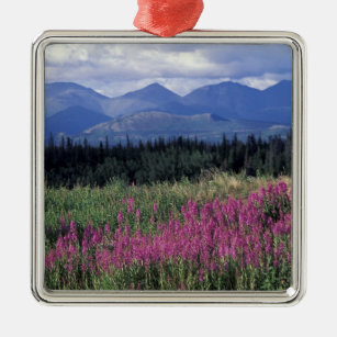 Nordamerika, Kanada, Yukon. Blüten Silbernes Ornament